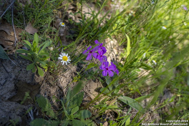 Image 33 of 37 For 2721 County Road 770