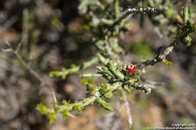 Image 34 of 37 For 2721 County Road 770