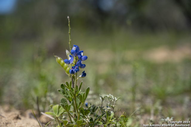 Image 37 of 37 For 2721 County Road 770