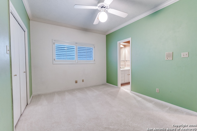 Image 25 of 36 For 7801 Timber Top