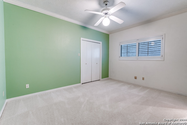 Image 26 of 36 For 7801 Timber Top