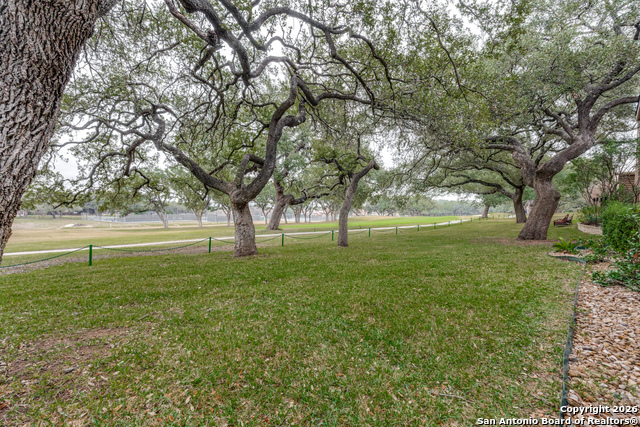 Image 35 of 36 For 7801 Timber Top