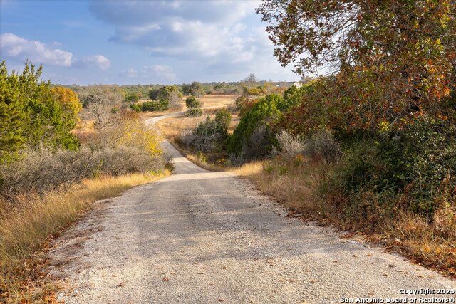 Image 4 of 50 For 127 Camp Alzafar
