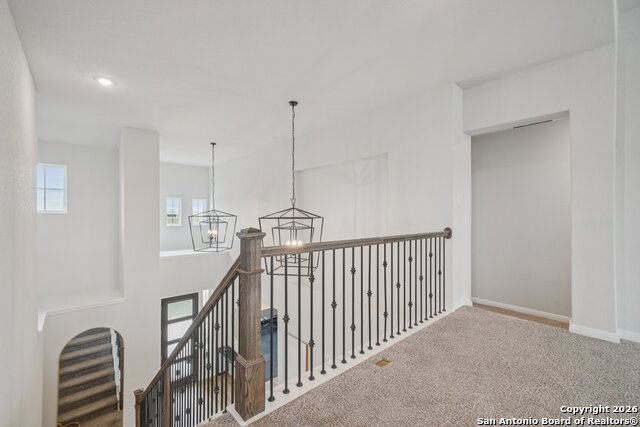 Image 27 of 43 For 3225 Mountain Mint