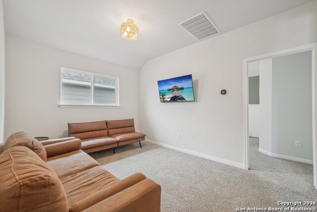 Image 32 of 43 For 3225 Mountain Mint