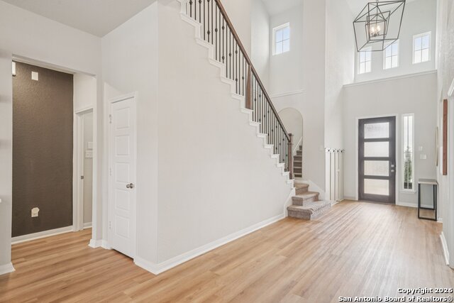 Image 6 of 43 For 3225 Mountain Mint