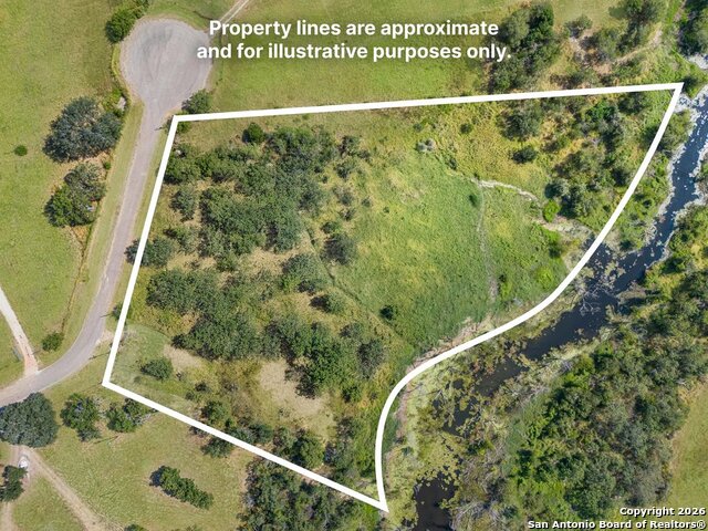 Image 2 of 13 For 200 Lolita  