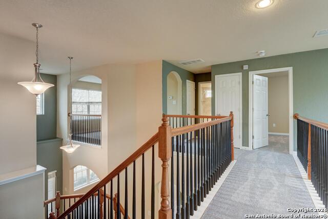 Image 11 of 38 For 5911 Geranium