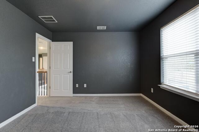 Image 15 of 38 For 5911 Geranium