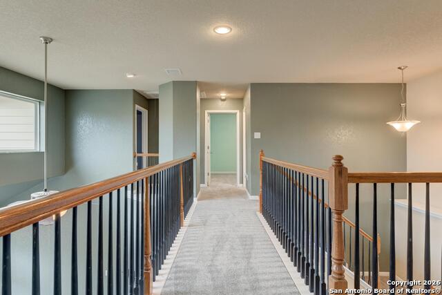 Image 29 of 38 For 5911 Geranium