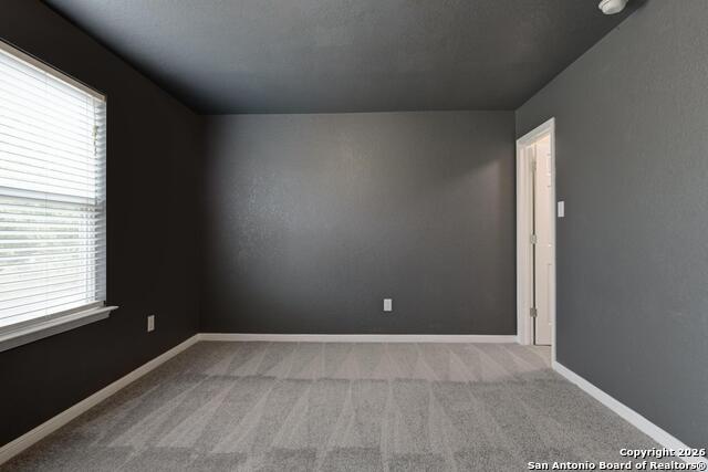 Image 32 of 38 For 5911 Geranium