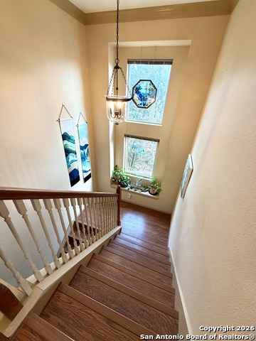 Image 15 of 49 For 9623 Requa  