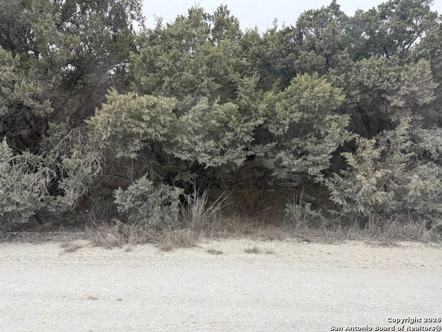 Details for 1372 Laguna Dr., Spring Branch, TX 78070