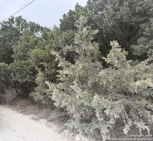 Image 2 of 4 For 1372 Laguna Dr.