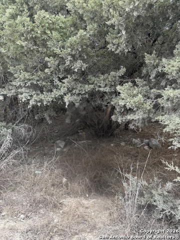 Image 4 of 4 For 1372 Laguna Dr.