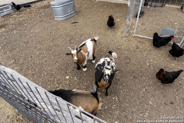 Image 38 of 38 For 71 Sabinas Creek Ranch