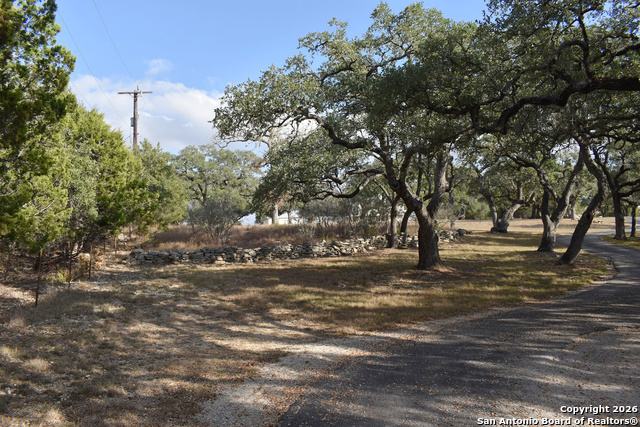 Image 4 of 41 For 32010 Oak Ridge Parkway