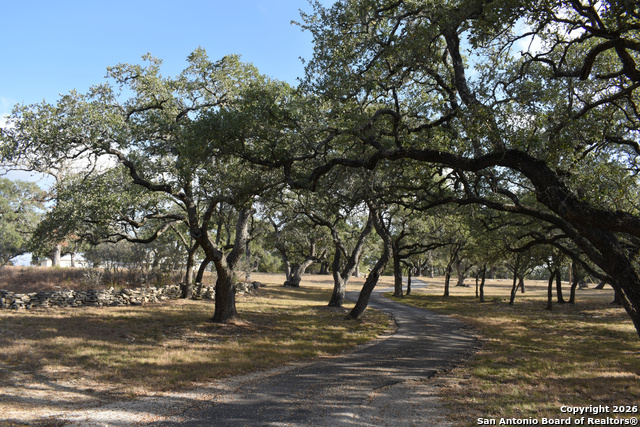 Image 5 of 41 For 32010 Oak Ridge Parkway