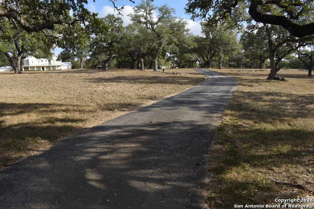 Image 7 of 41 For 32010 Oak Ridge Parkway