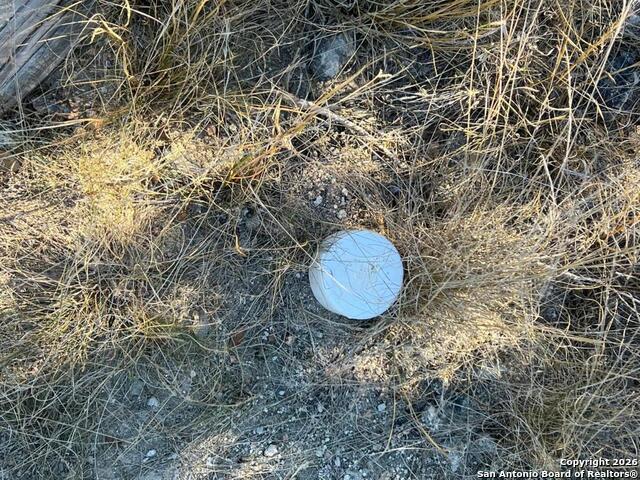 Image 6 of 9 For Lot 44 Pr 1508