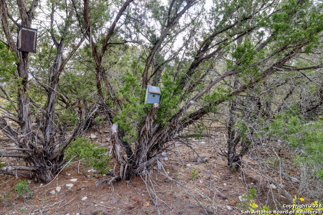 Listing photo id 8 for 25 Sd 65065 Dusty Rose Ranch