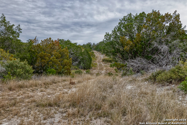 Listing photo id 29 for 25 Sd 65065 Dusty Rose Ranch