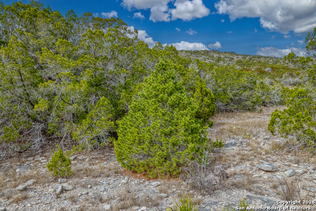 Listing photo id 31 for 25 Sd 65065 Dusty Rose Ranch