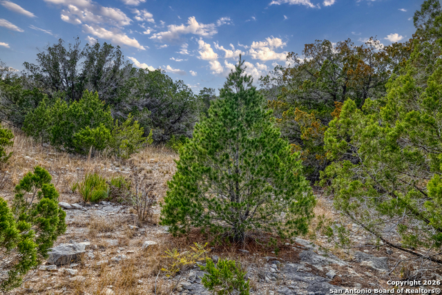 Listing photo id 32 for 25 Sd 65065 Dusty Rose Ranch