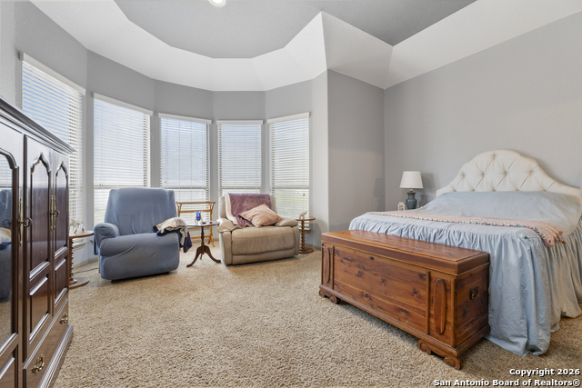 Image 17 of 57 For 26202 Dark Horse