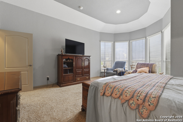 Image 18 of 57 For 26202 Dark Horse