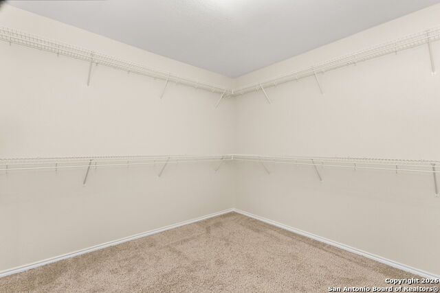 Image 21 of 25 For 7403 Concerto