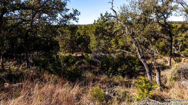 Image 15 of 17 For 1231 Wild Rose