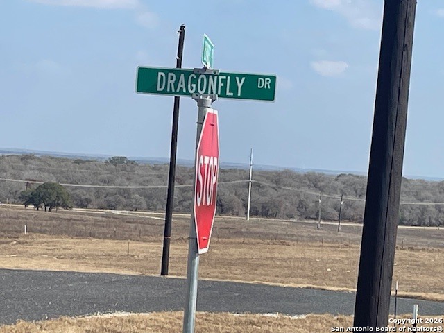 Image 4 of 6 For 112 Dragonfly