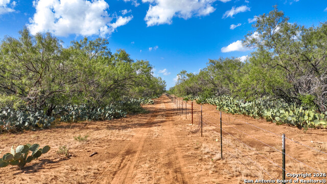 Listing photo id 37 for 6472 Bluntzer Rd