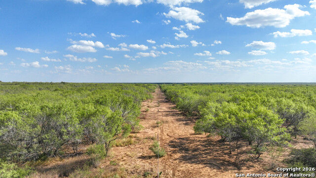 Listing photo id 38 for 6472 Bluntzer Rd