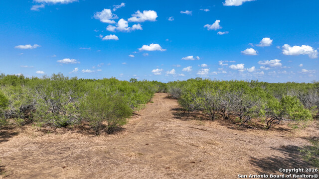 Listing photo id 40 for 6472 Bluntzer Rd