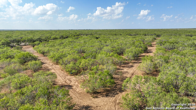 Listing photo id 41 for 6472 Bluntzer Rd