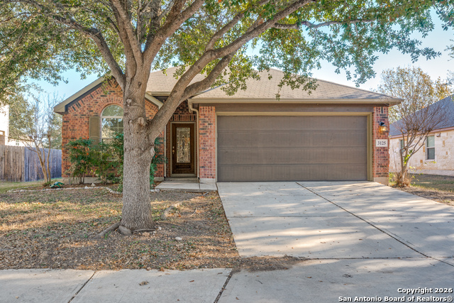 Details for 3125 Muntjac, Schertz, TX 78154