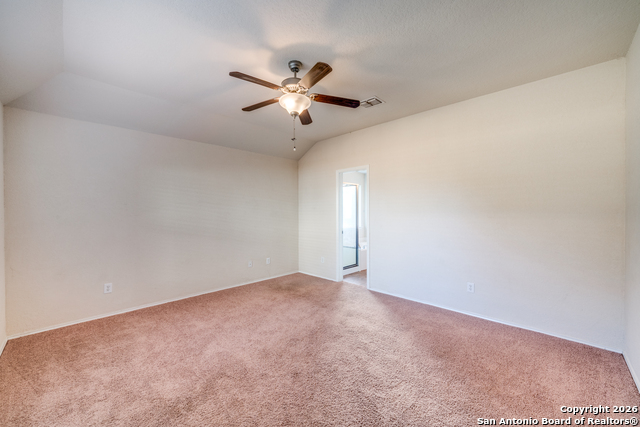 Image 11 of 24 For 3125 Muntjac