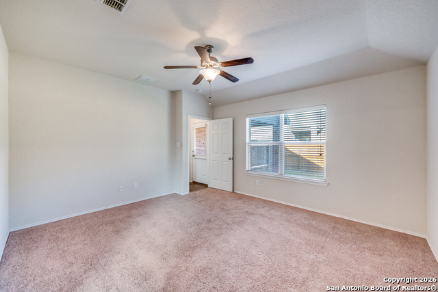 Image 13 of 24 For 3125 Muntjac