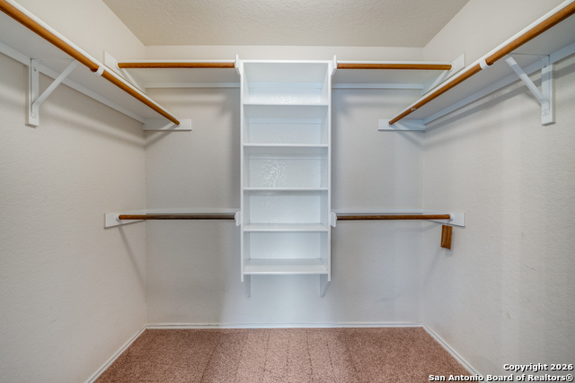 Image 16 of 24 For 3125 Muntjac