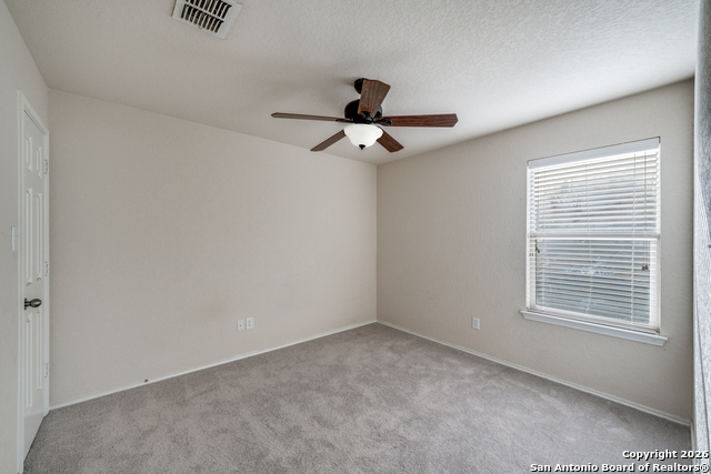 Image 19 of 24 For 3125 Muntjac