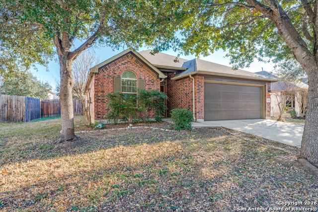 Image 2 of 24 For 3125 Muntjac