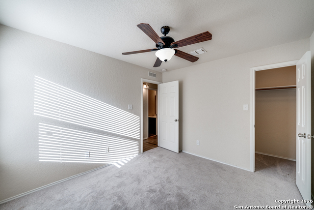 Image 20 of 24 For 3125 Muntjac