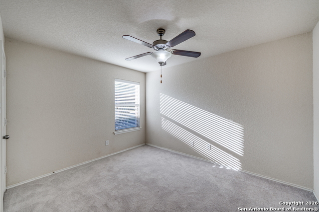 Image 21 of 24 For 3125 Muntjac