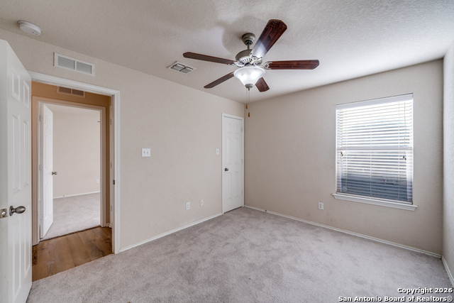 Image 22 of 24 For 3125 Muntjac