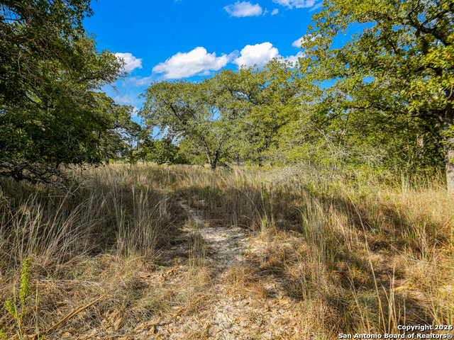 Image 11 of 46 For 12180 Fm 1117