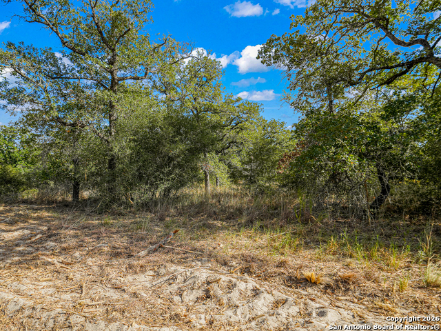 Image 12 of 46 For 12180 Fm 1117