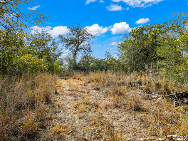 Image 14 of 46 For 12180 Fm 1117