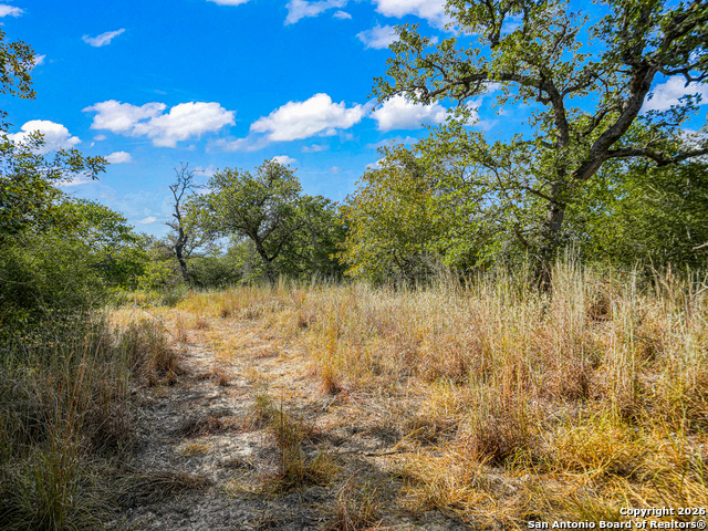 Image 15 of 46 For 12180 Fm 1117